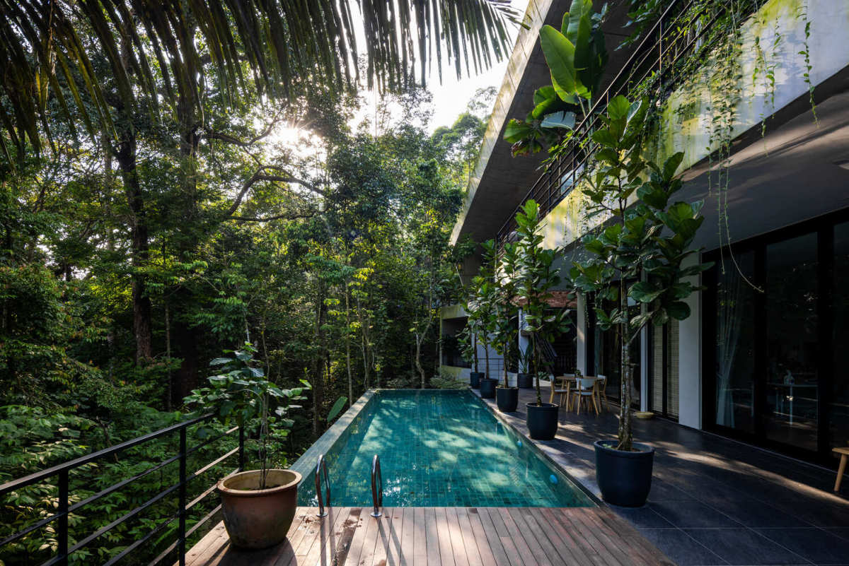 Rainforest Residence Architecture pool