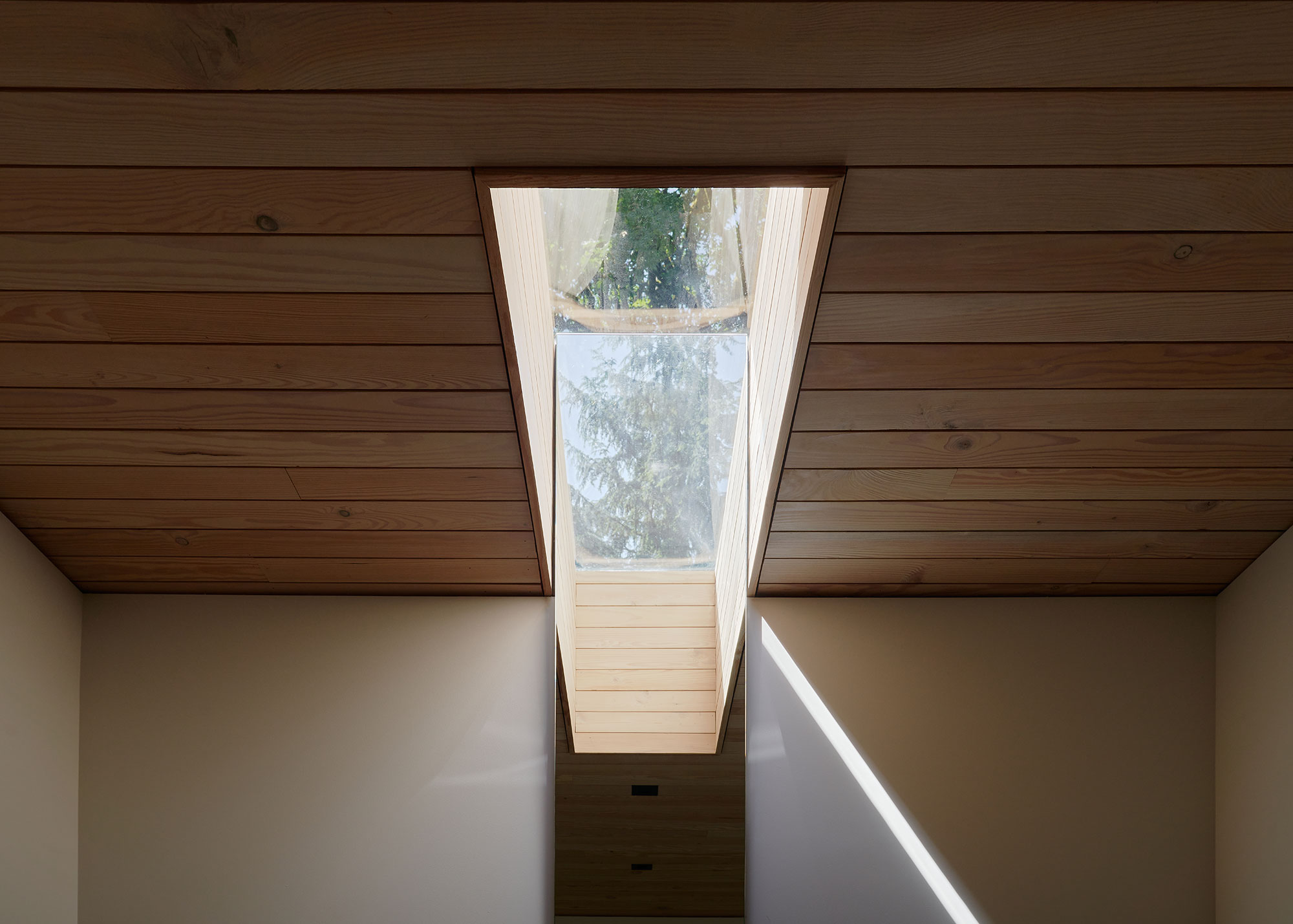 Black Brick House roof skylight