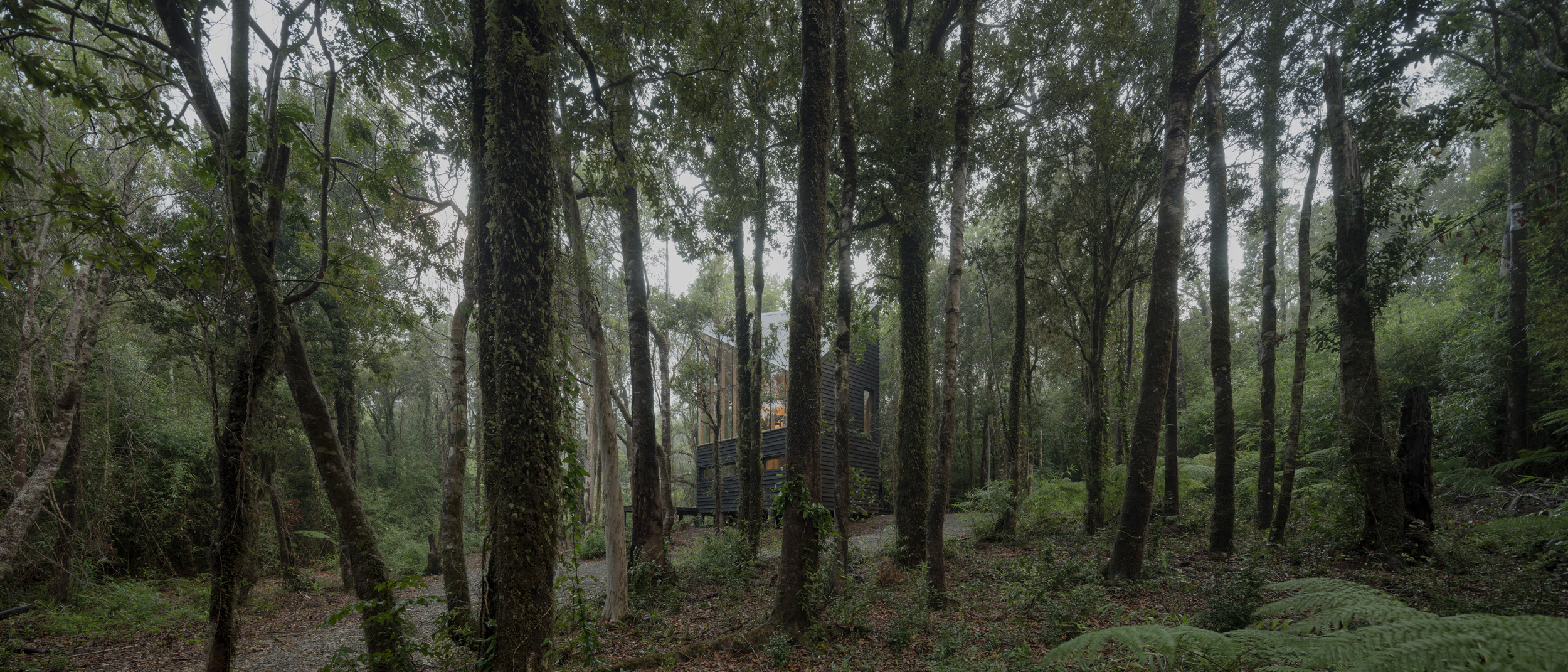 Cabin in Valdivia Chile into the woods