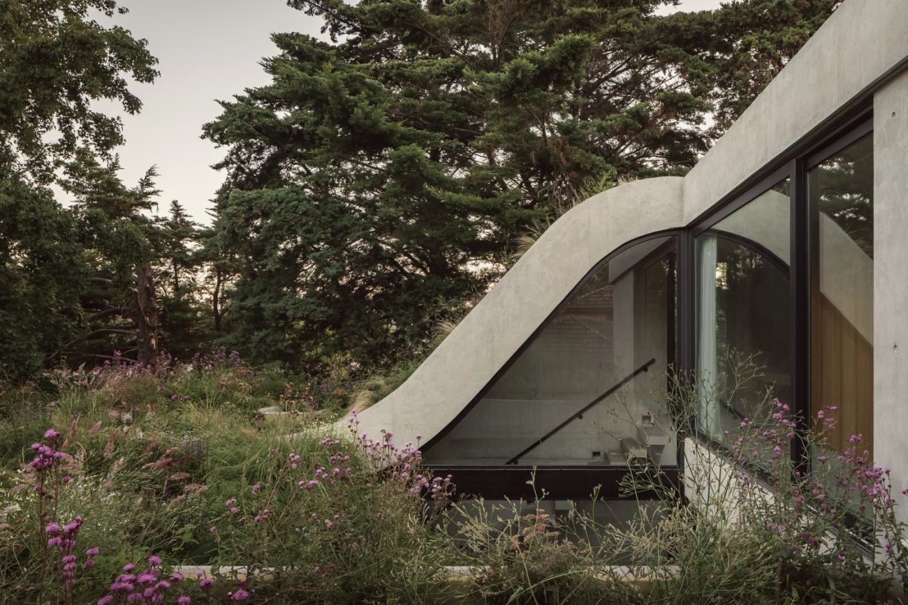 Casa Olivos Green Roof curved ceiling