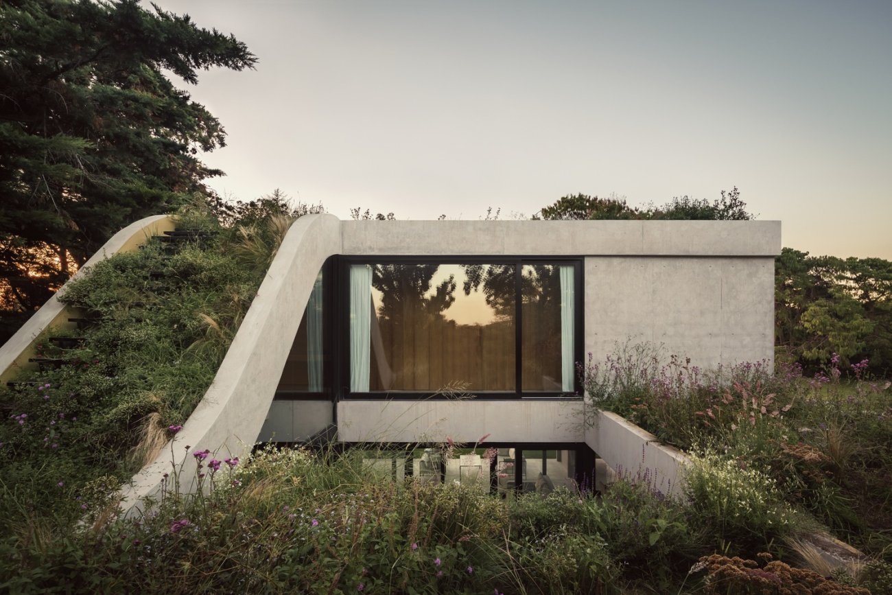 Casa Olivos Green Roof