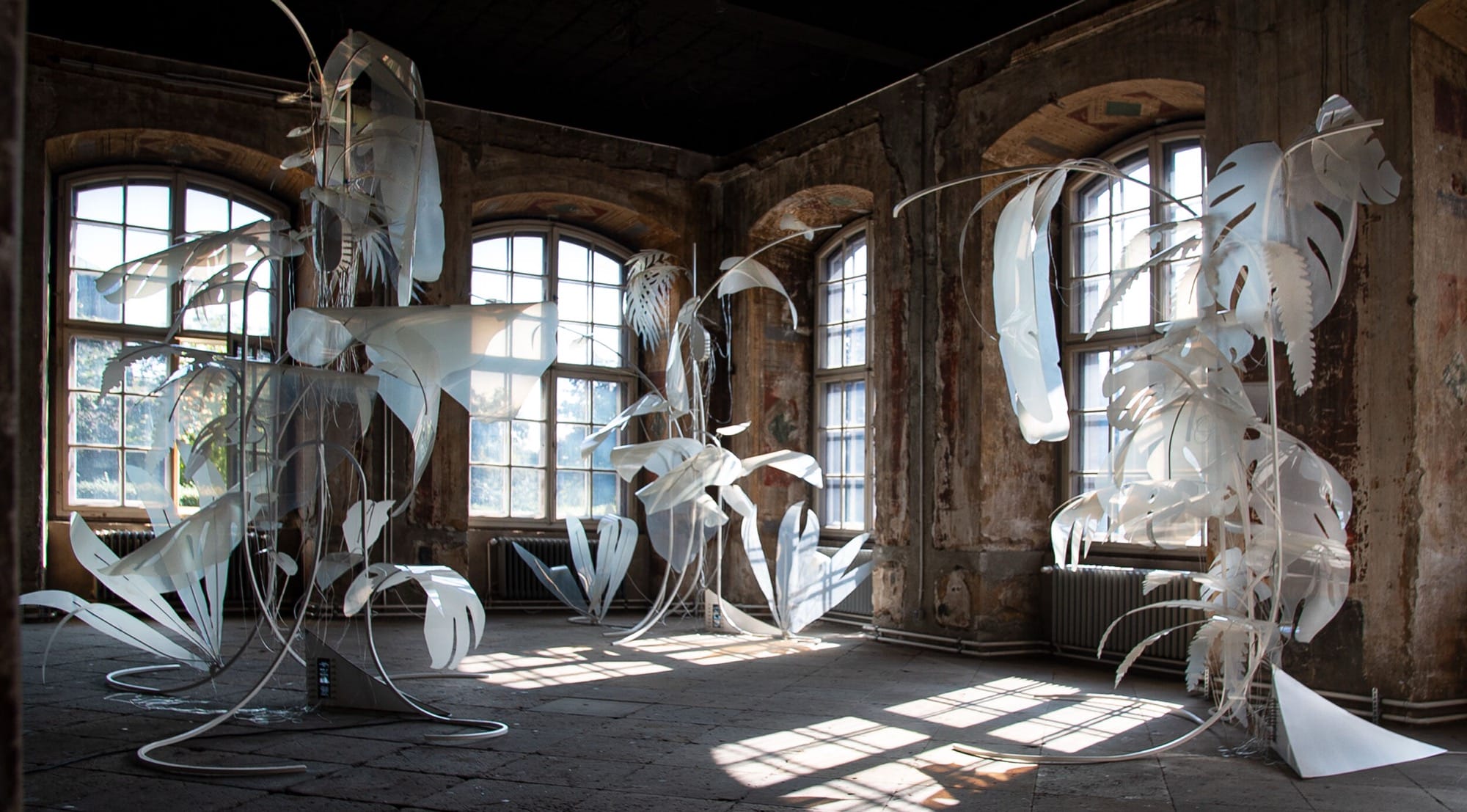 an installation view of sculptural, white tropical leaves in a historic gallery space