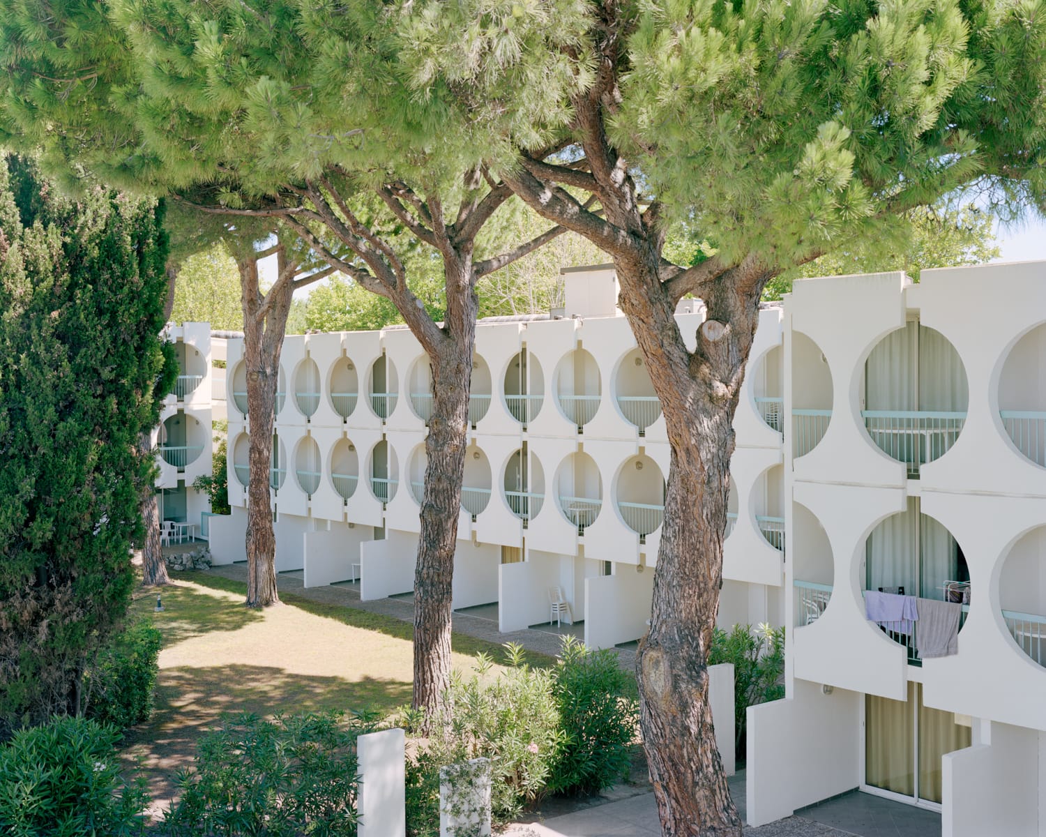 a detail of modernist architecture with trees in the foreground