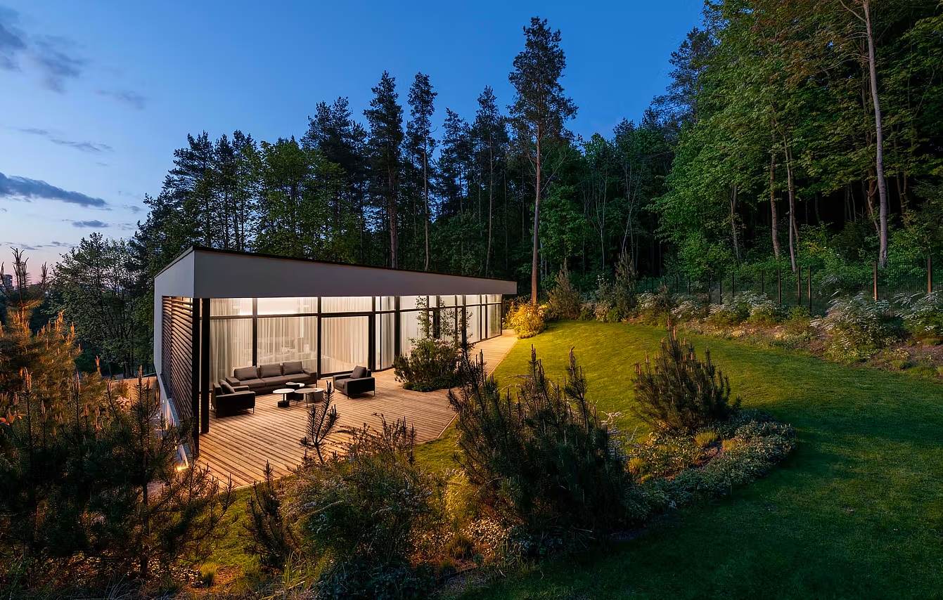 Backyard of the house