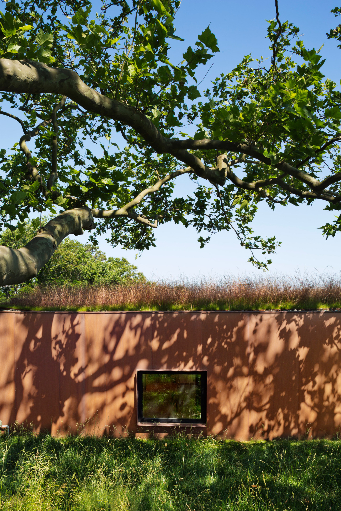 Peconic House Mapos Architecture Green Roof