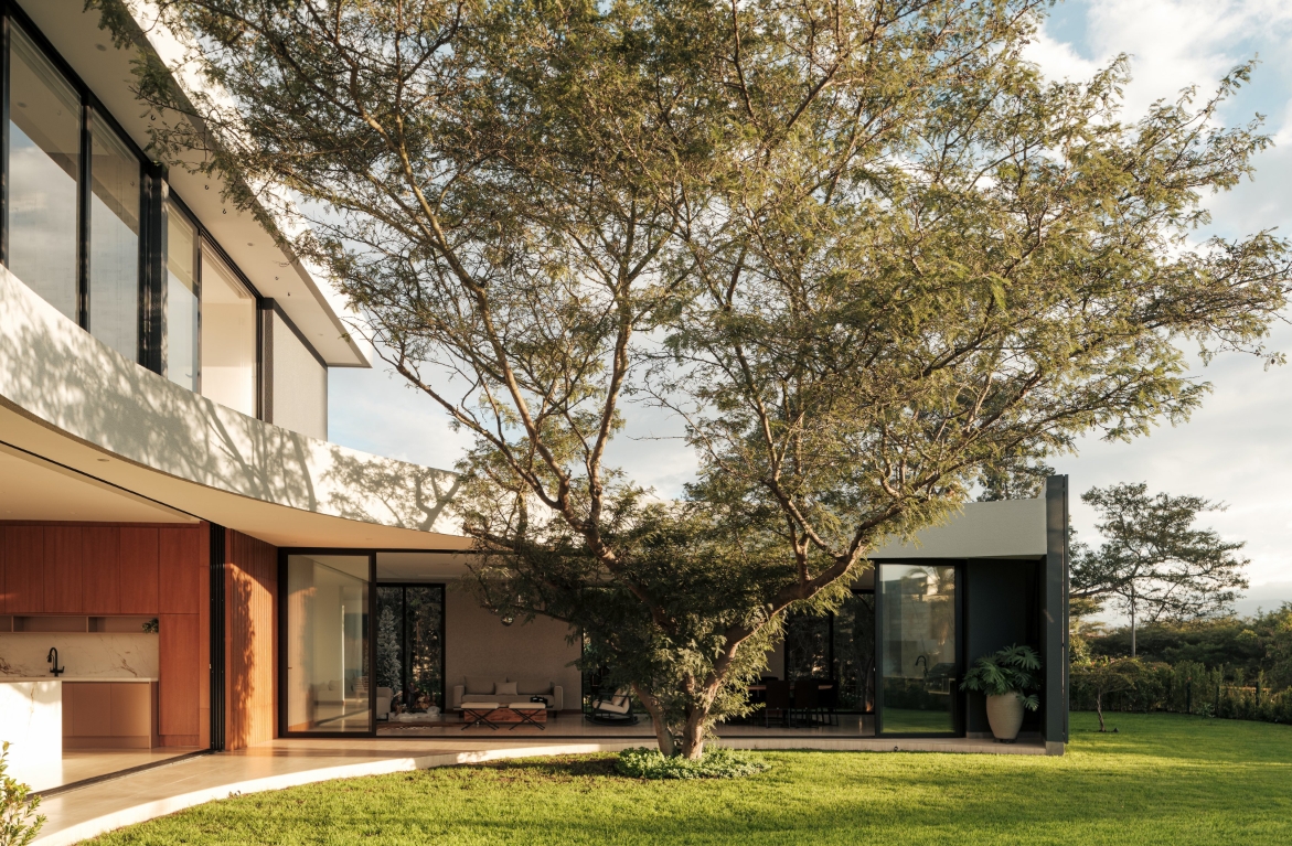Riba House Architecure Tree Backyard