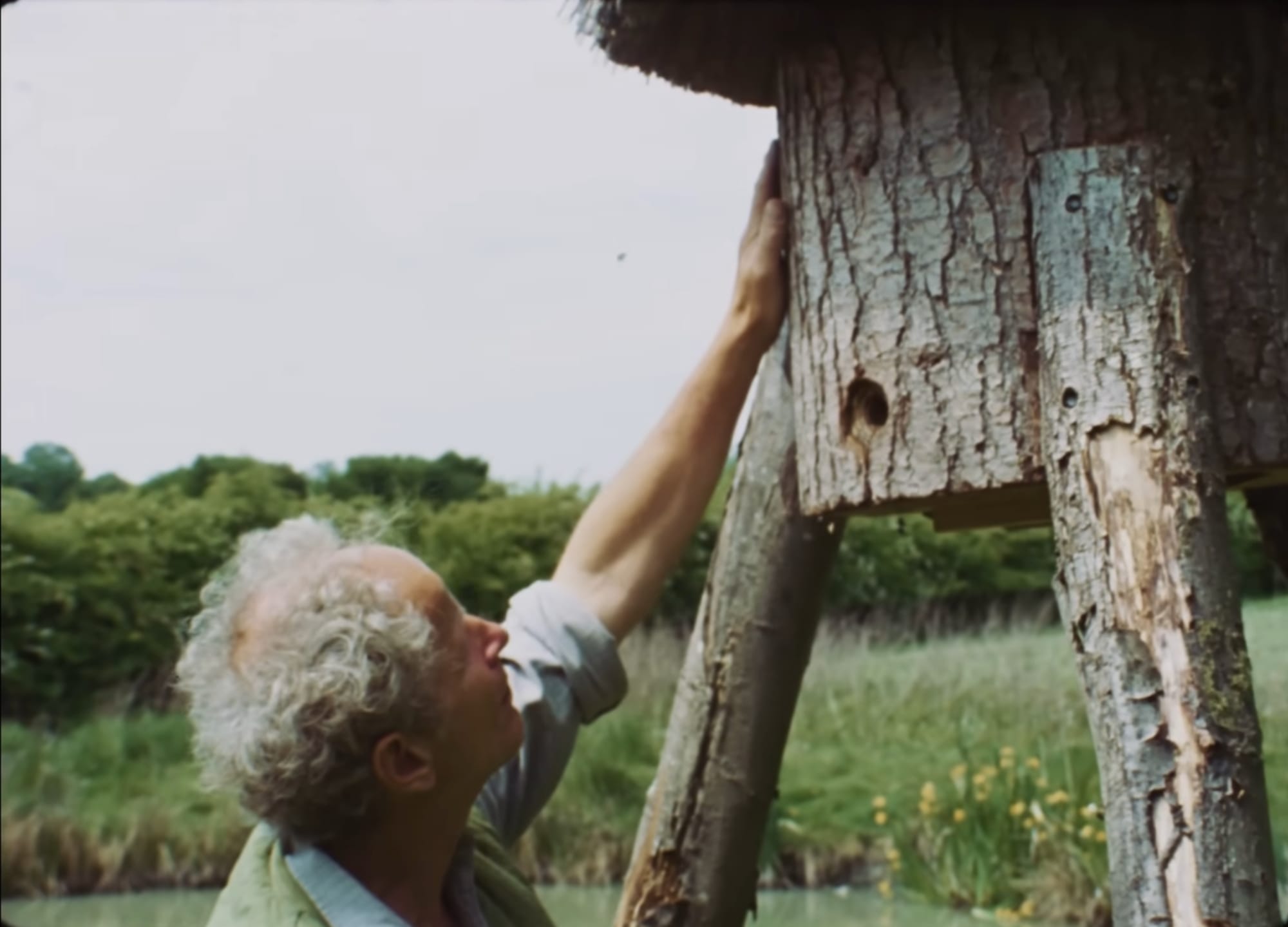 a white man with gray hair touches a wood hive