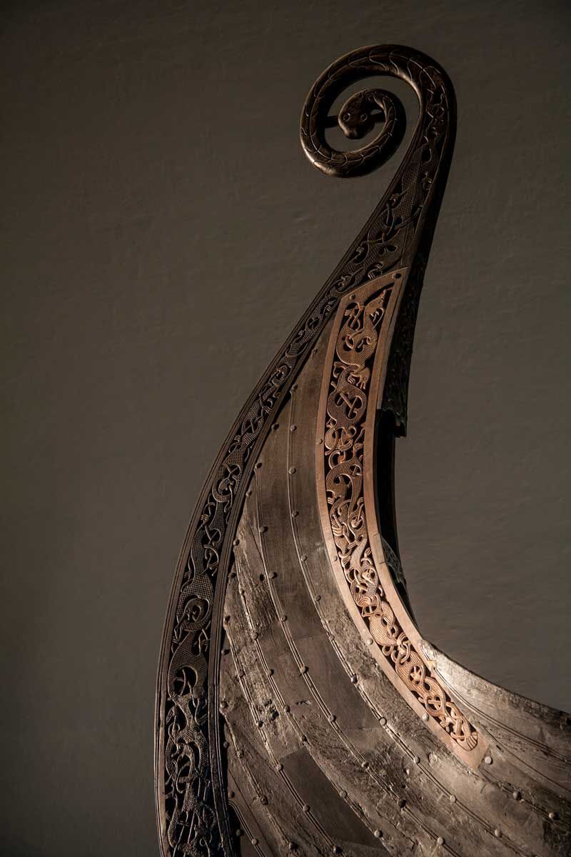 a detail of the Oseberg Viking Ship's serpent head on the prow