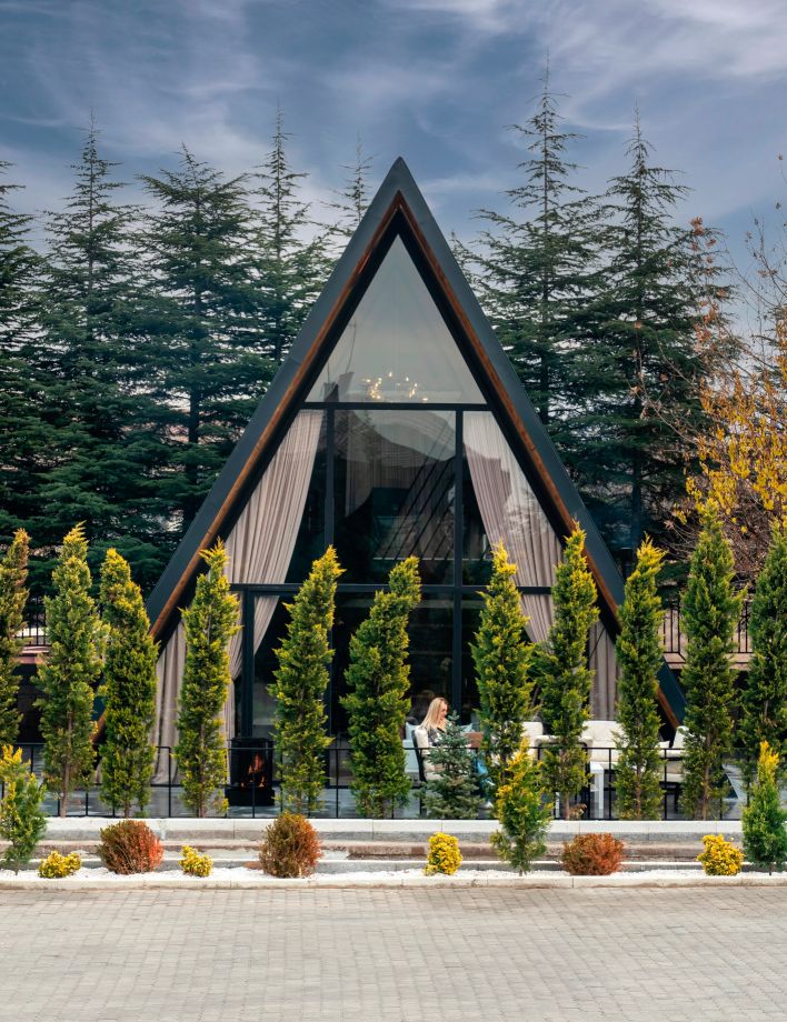 A frame cabin architecture