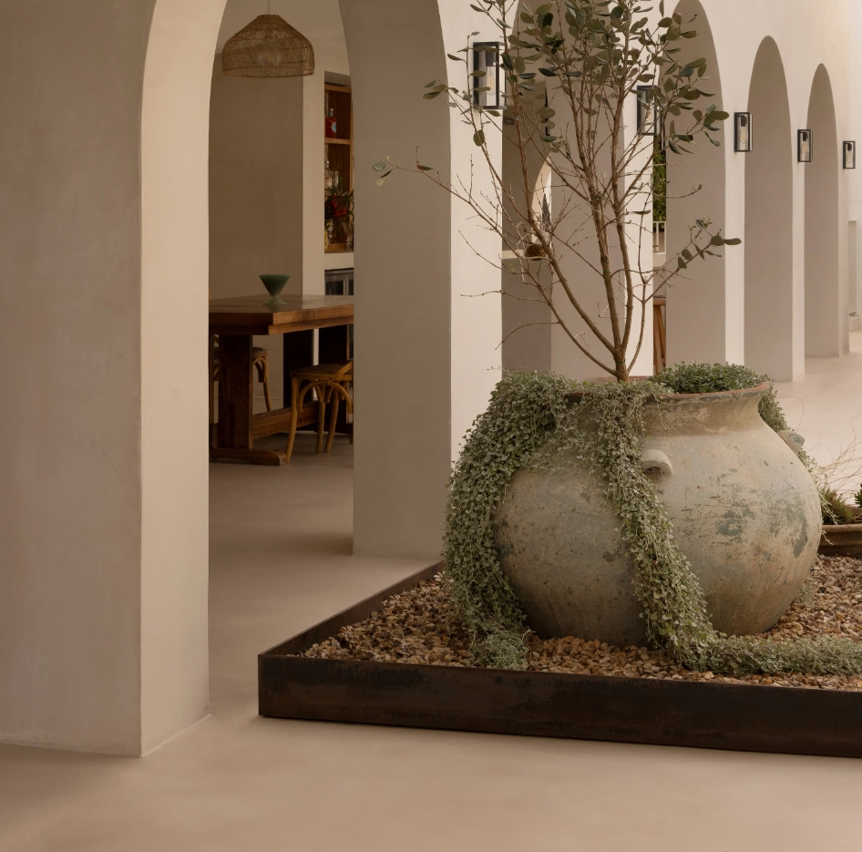 Loggia Sorrento Austrailia large poted plants