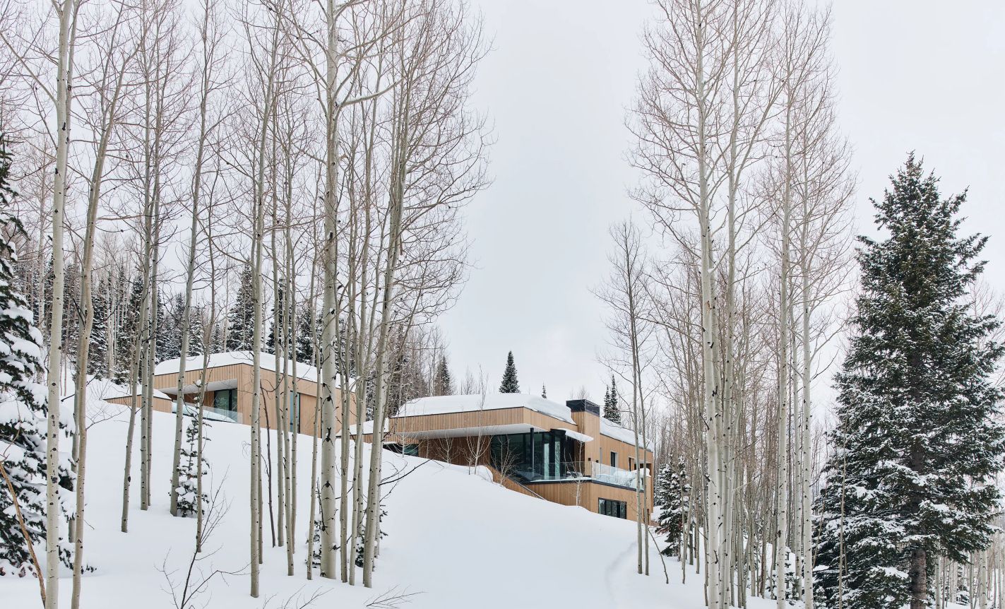 Nest Mountain Modern Cabin Middle of Nature