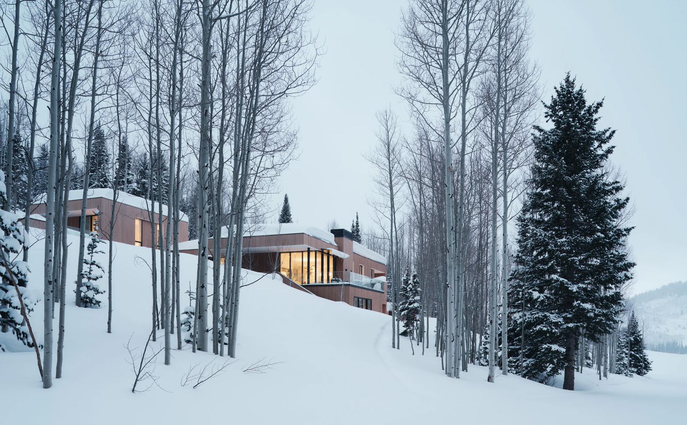 Nest Mountain Modern Cabin snow