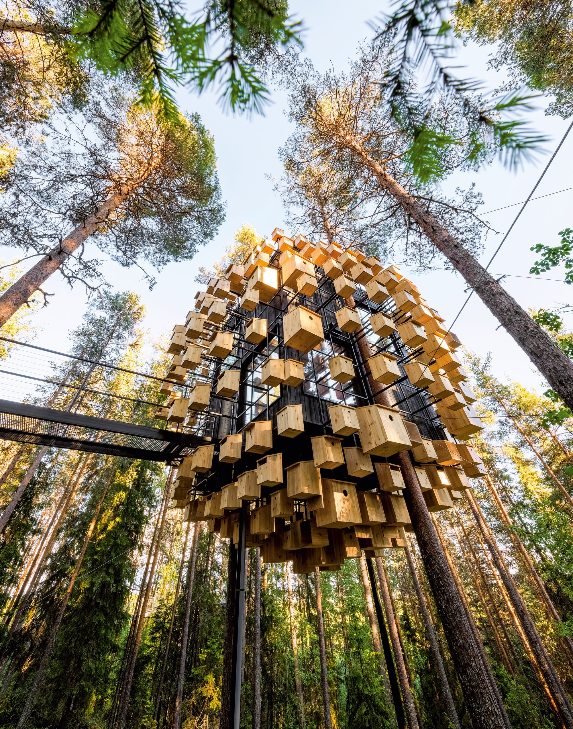 a modern treehouse made of clustered houses in a forest