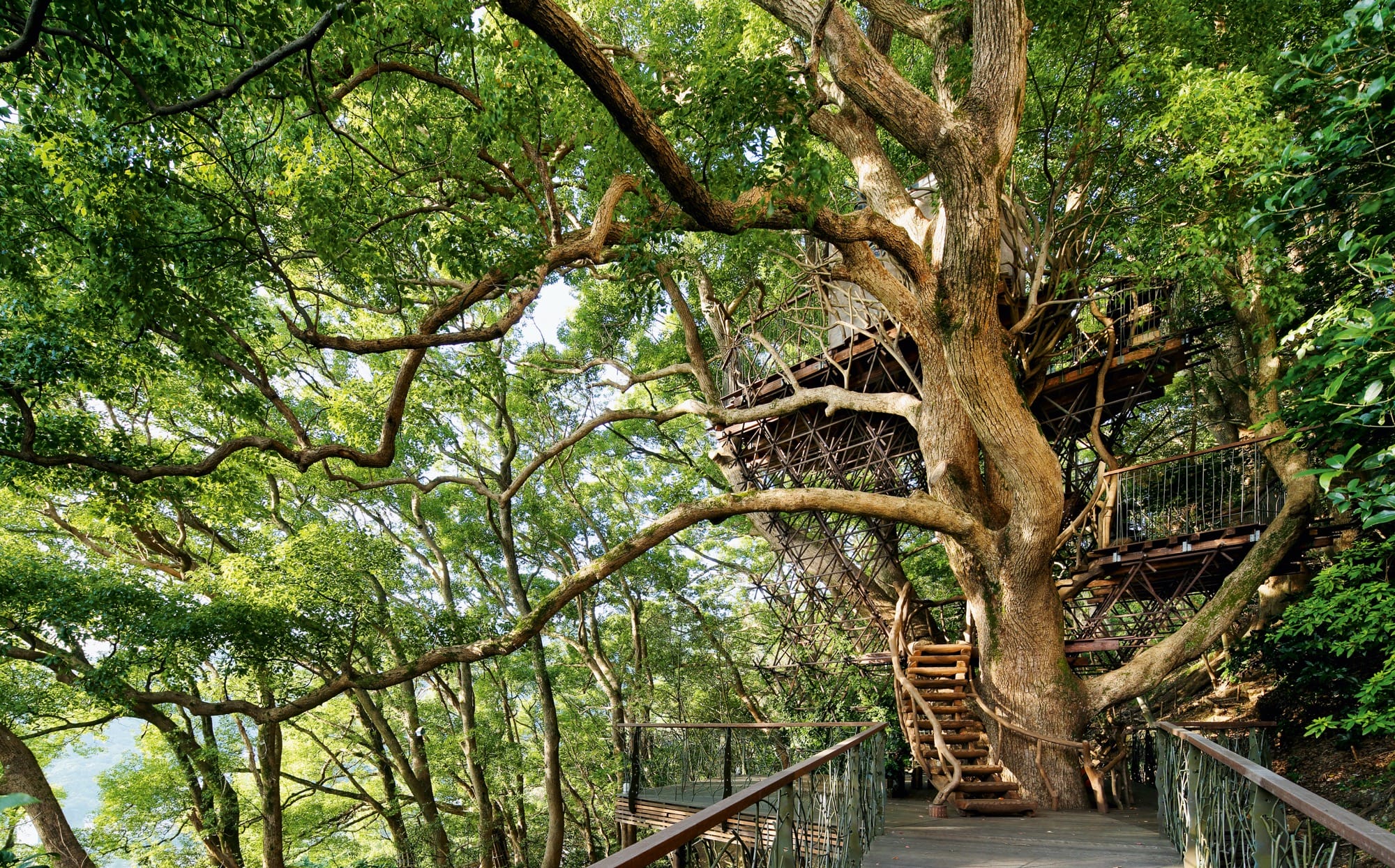 62 Modern Tree Houses Climb to Architectural Heights