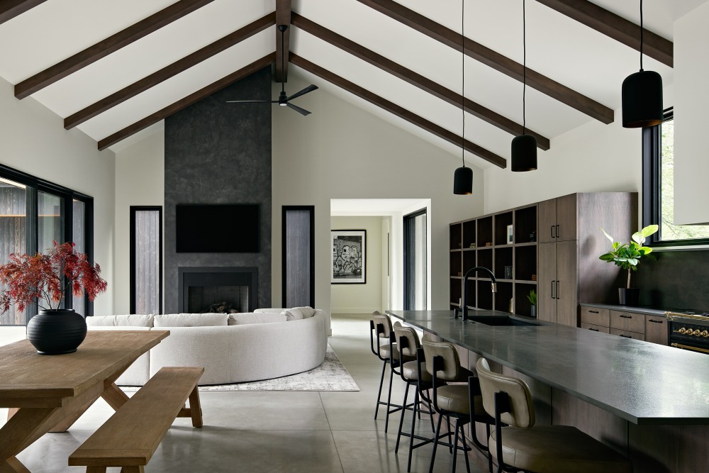 Baw Beese Disbrow Iannuzzi open space living room