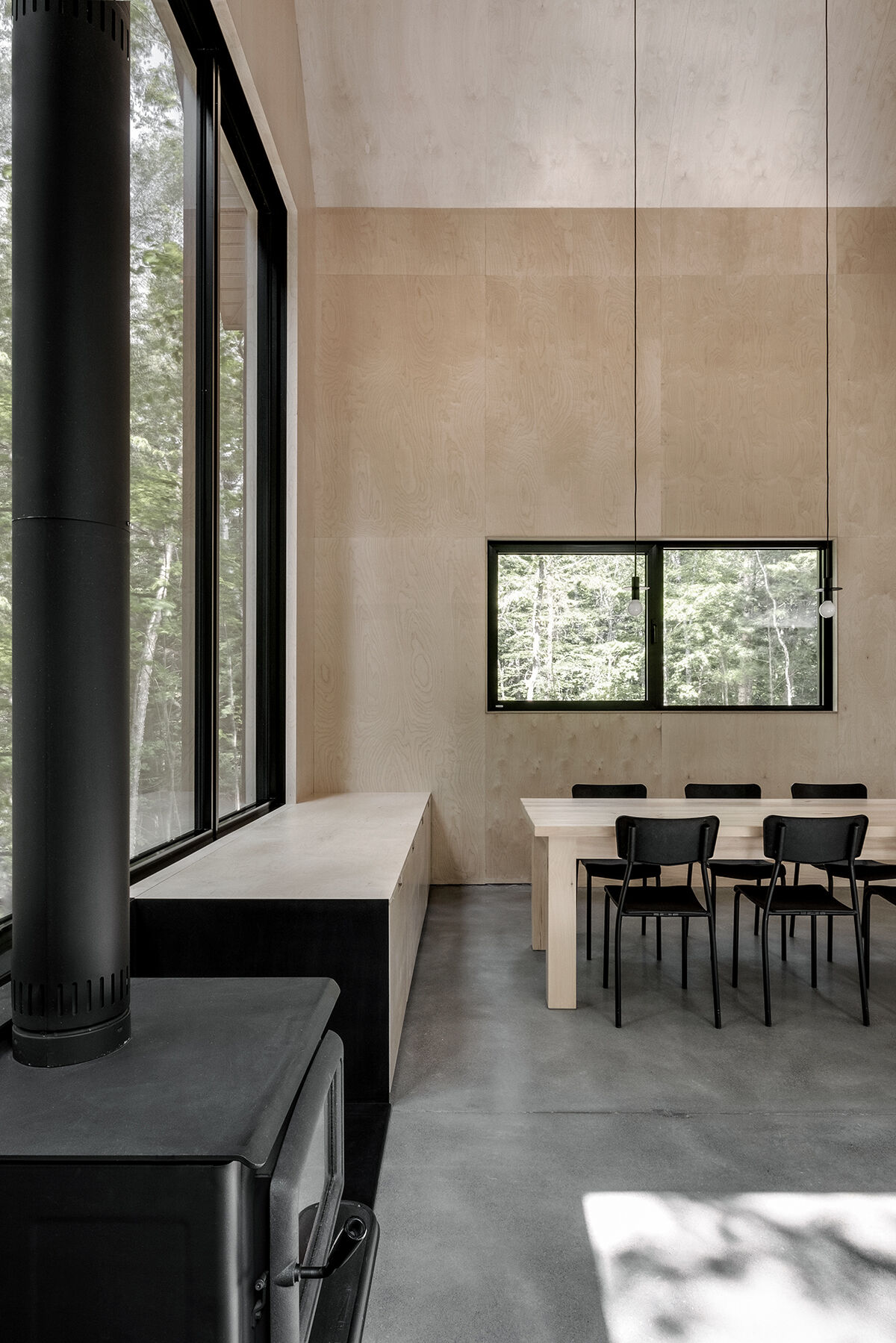 Black modern cabin arhitecture plywood walls