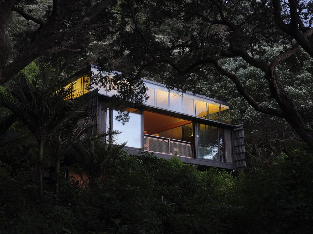 New Zeeland Kawakawa Bach Herbst Architects lush vegetation