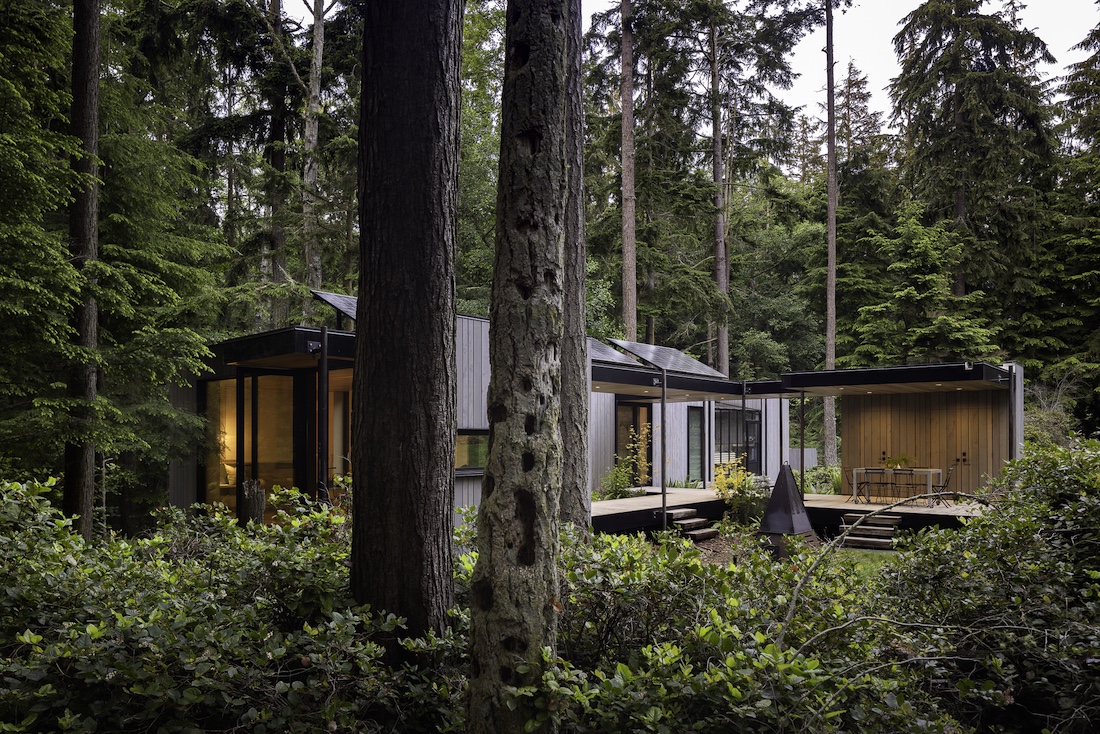 Whidbey Puzzle Prefab Forest Interior