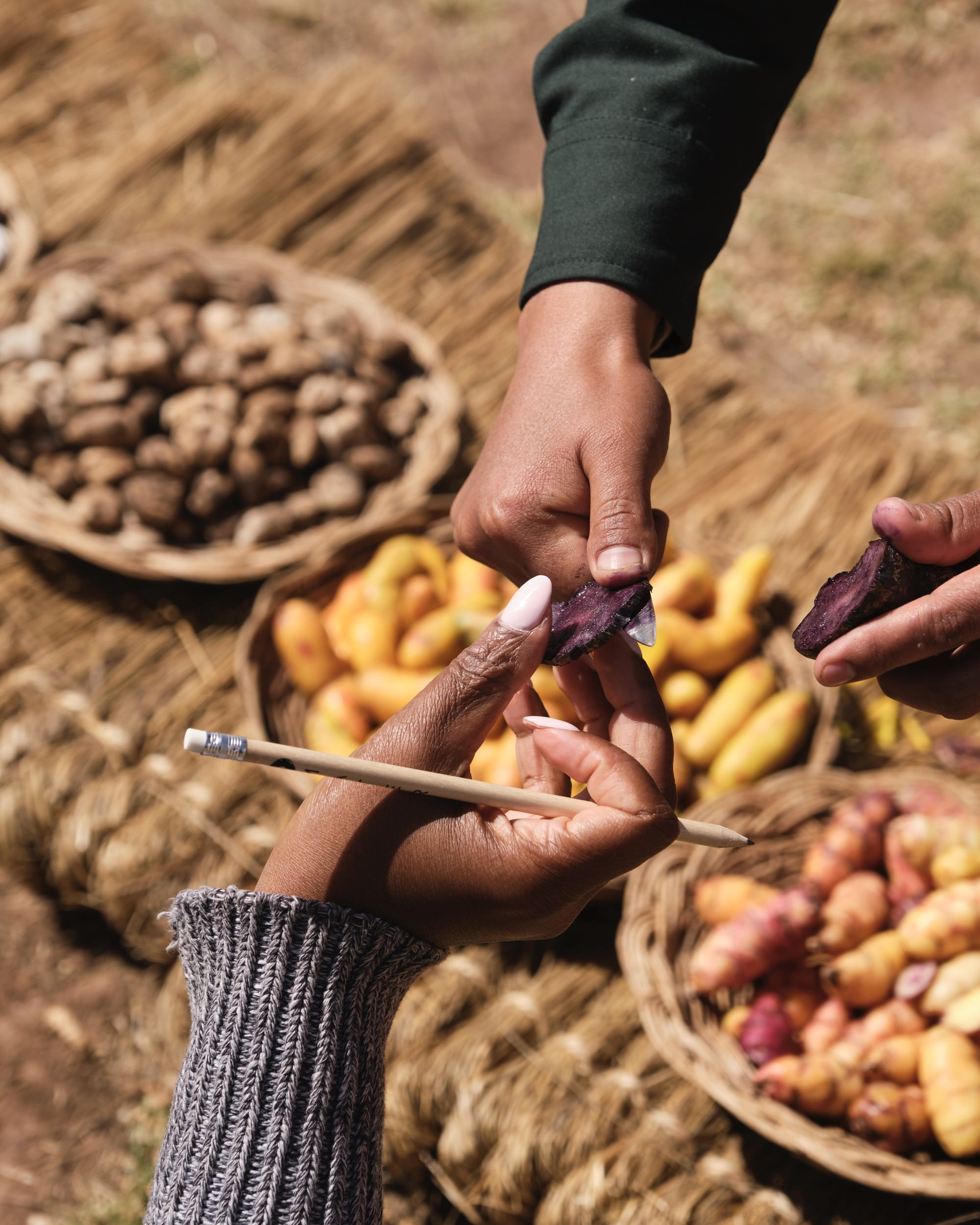 two hands exchanging crops